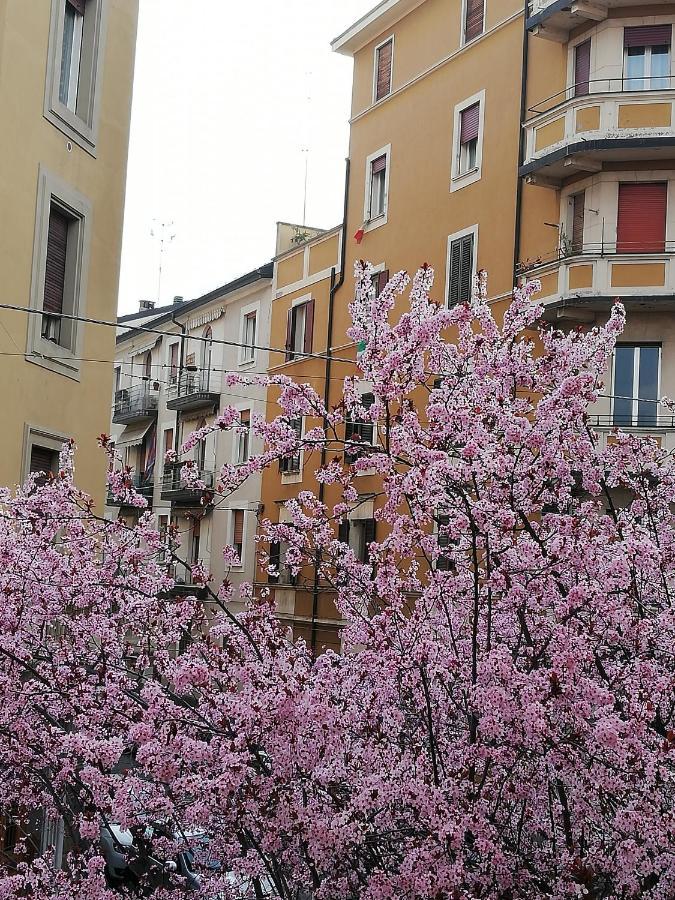 Appartamento: Tranquillita O Divertimento Bologna Exterior photo